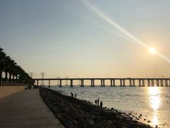 -宝安西湾红树林湿地公园