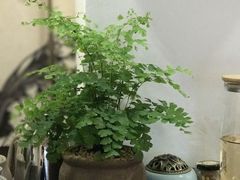 -茶庐(百花洲路店)