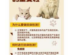 -美联众合动物医院·24h转诊中心