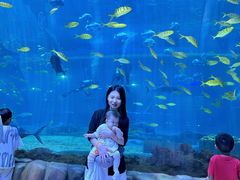 -华夏文旅海洋公园