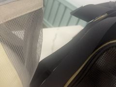 -北京观赏动物医院·24小时大型综合·猫专科·异宠专科