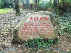 -瑞丽独树成林风景区