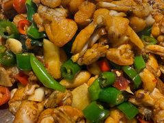 田鸡-蛙小侠(珠海华发商都店)
