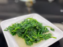 -新南华大酒店(广中店)