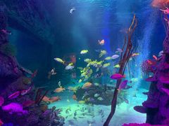 -沈阳海洋探索中心