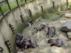 -云南野生动物园