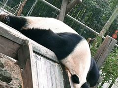 -天目湖御水温泉·度假酒店