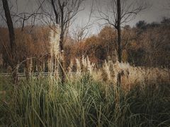 -西湖风景区-江洋畈生态公园