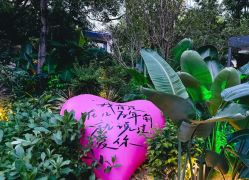 点击看大图 -宝生月子中心(独栋园林·福田店)