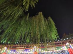 -宝馨月月子中心(友谊医院店)
