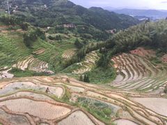 -紫鹊界梯田景区