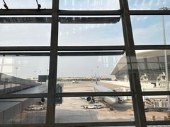 -厦门高崎国际机场-T4航站楼