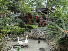 -青城甲(青城山店)