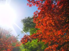 -崂山九水游览区