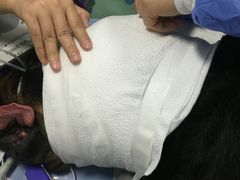 -欧奕国际动物医院