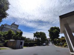 -华东饭店·园林式婚礼宴会厅酒店