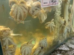 -九层海鲜塔(市南店)