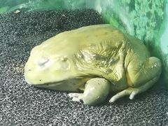 -上海大自然野生昆虫馆