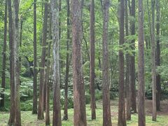 -杭州植物园