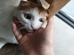 -泉州海丝野生动物世界