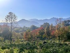 -塔川景区