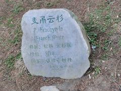 -庐山风景区花径公园