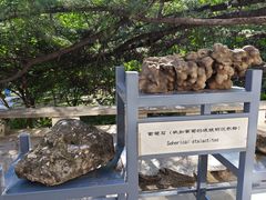 -周口店北京人遗址公园