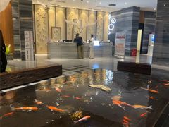 -大和洗浴休闲会所(宏大广场店)