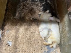 -上海大自然野生昆虫馆