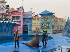 -华夏文旅海洋公园