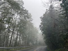 -南山植物园