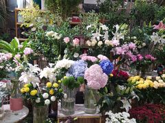 -T11生鲜超市(朝阳公园店)