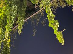 -麦当劳(杭州西湖银泰百货店)