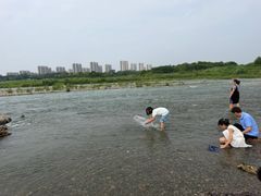 -绿堤公园