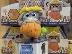 -红舞鞋舞蹈教育(近江校区)