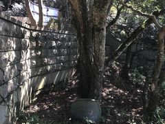-普陀山风景区-佛顶山