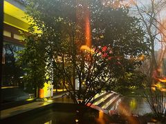 -唐御宴•御宴宫•唐代菜点(芙蓉西路店)