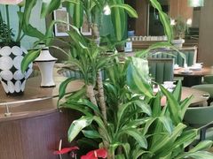 -荷花亭·湖北融合菜(十堰武商MALL店)