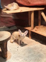 -Zoolung Zoolung动物主题公园(海信广场店)