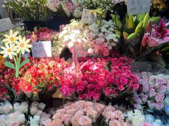 -循礼门鲜花花市(武汉循礼门店)