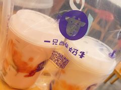 -一只酸奶牛(奎星楼店)