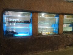 水产区-郑庄脂渣海鲜楼(九水路店)