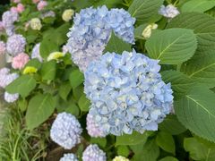 -常州古运河南大街文化旅游区-人民公园