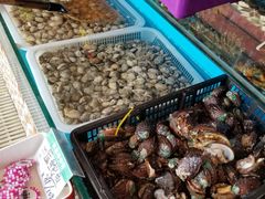 -港畔赶海蒸汽海鲜烧烤自助(仙螺岛店)