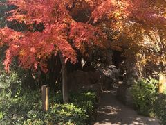 -圆通寺