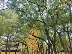-西园戒幢律寺