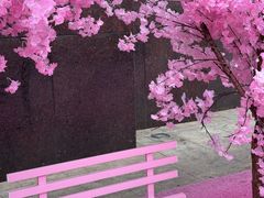 -盐城大有境(解放南路店)