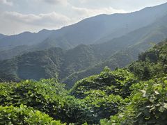 -北京鹫峰国家森林公园