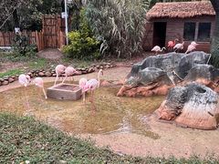 -昆明动物园