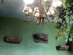 -猫猫幼稚园·撸猫·桌游·电玩